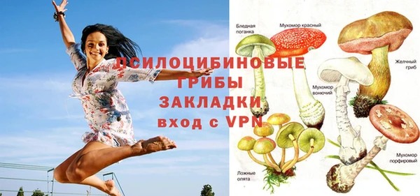 дурь Арсеньев