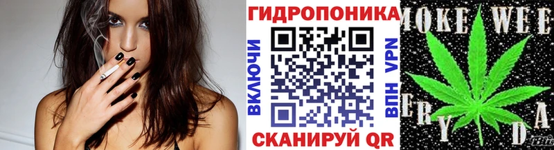 Каннабис конопля  OMG как войти  Усть-Илимск  купить закладку 